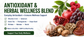 Immune Support Complex for Brain Health - 60 Capsules