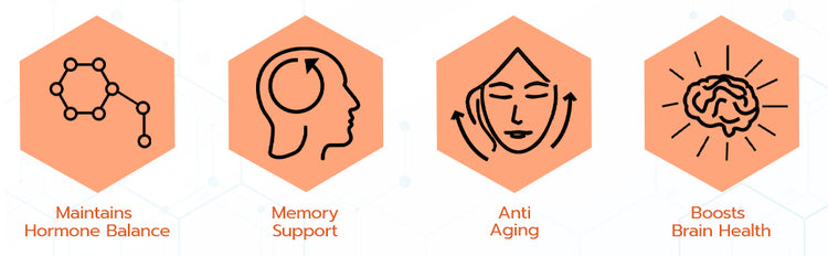 Natural DHEA Supplements to Support Healthy Aging