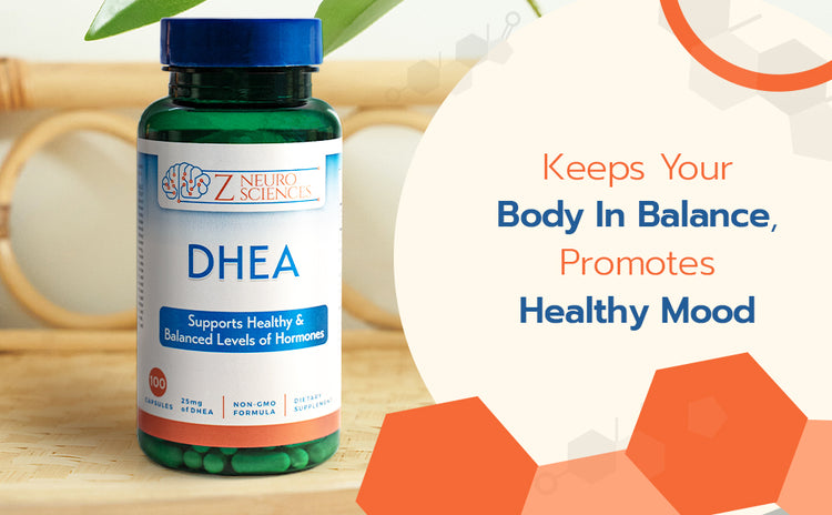 Natural DHEA Supplements to Support Healthy Aging