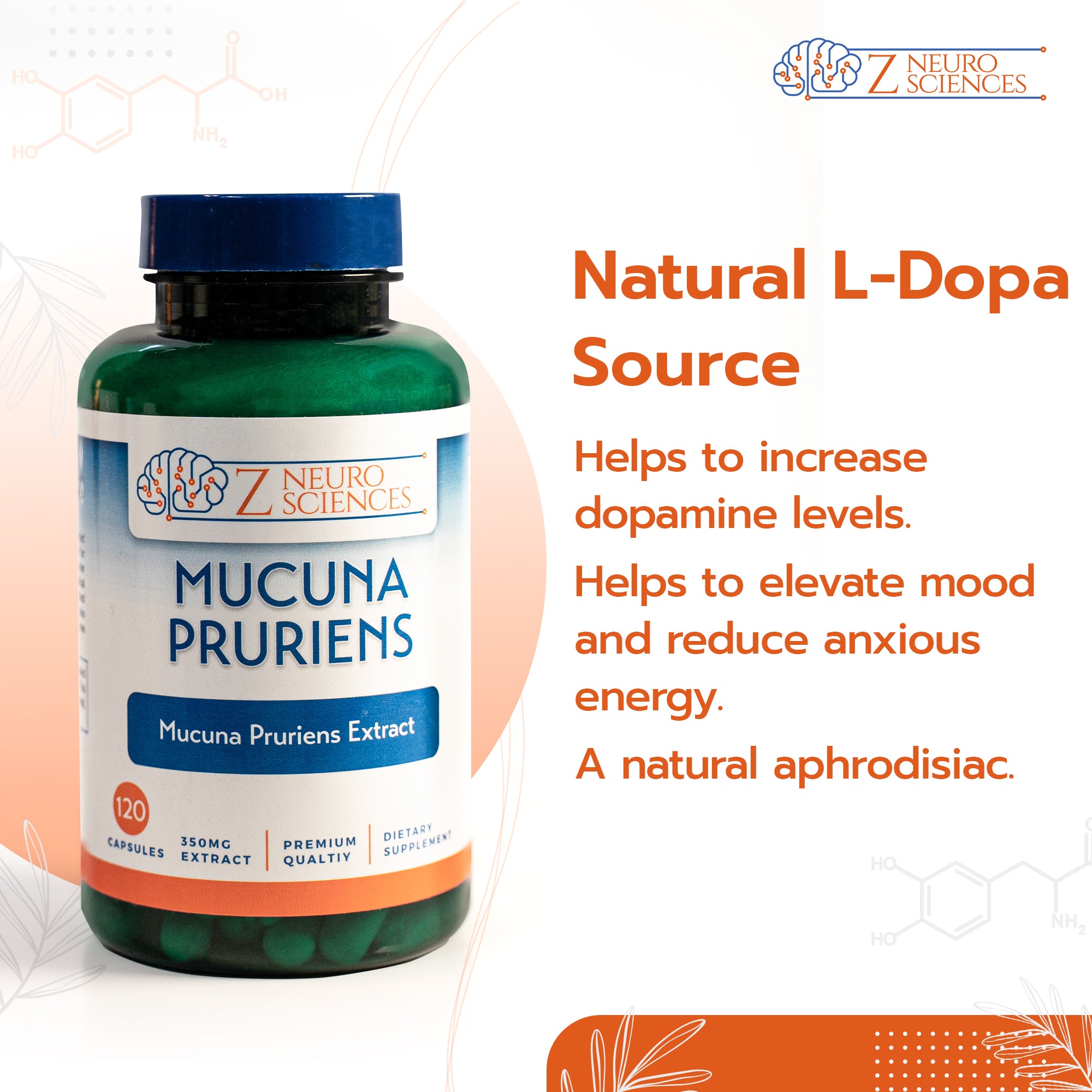 Mucuna Pruriens Natural Dopamine Boosting Supplement Z