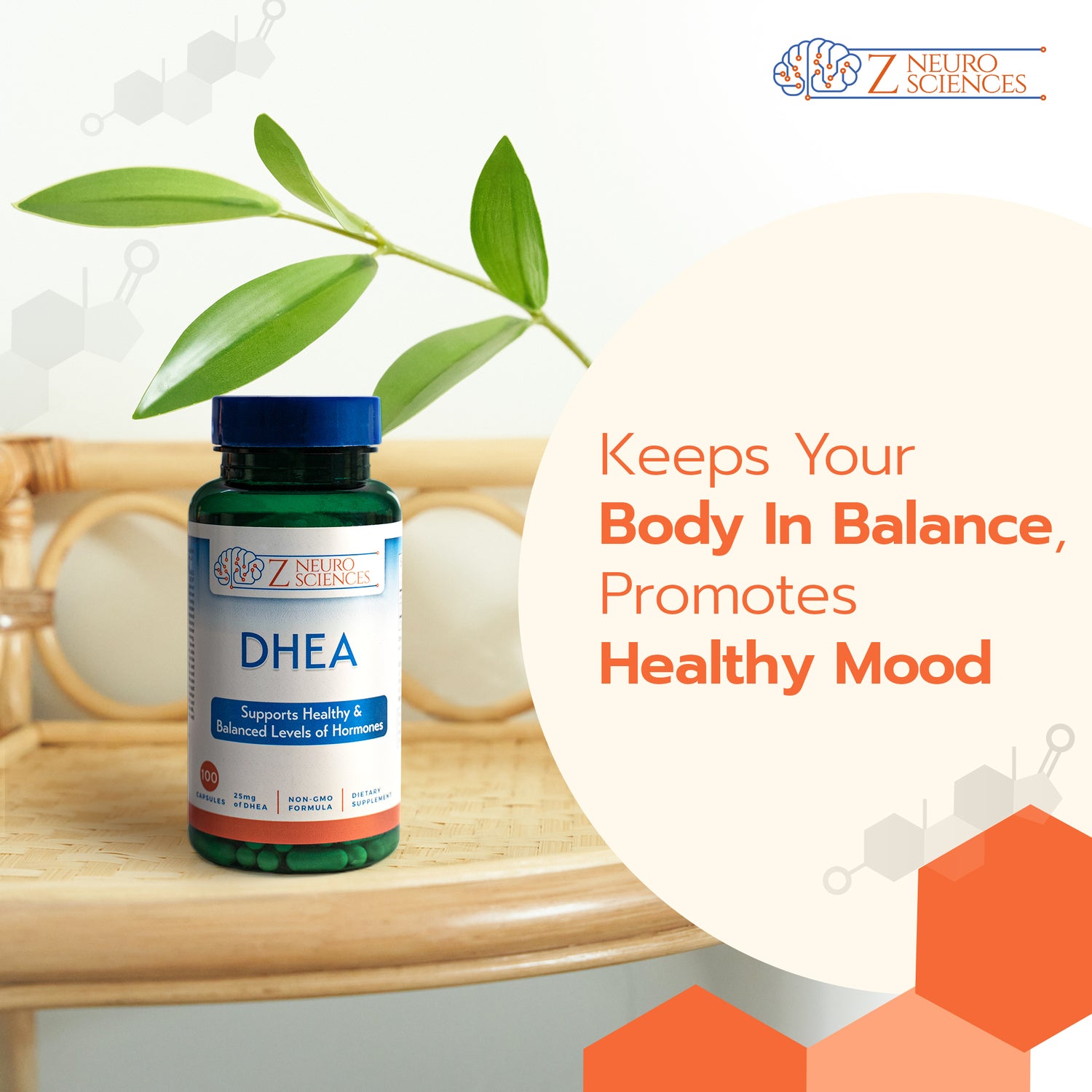 Natural DHEA Supplements to Support Healthy Aging