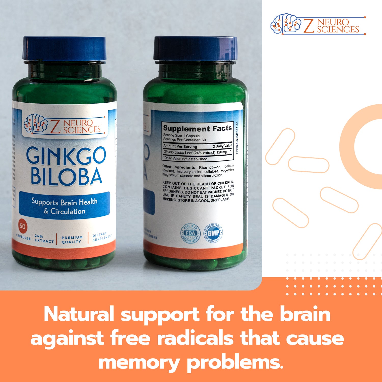 Ginkgo Biloba | Nootropic for Cognitive Functions Support